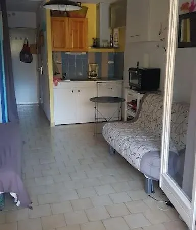 Climatise Rez De Jardin 150m Boucanet Le Grau-du-Roi
