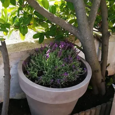 Climatise Rez De Jardin 150m Boucanet Apartment *